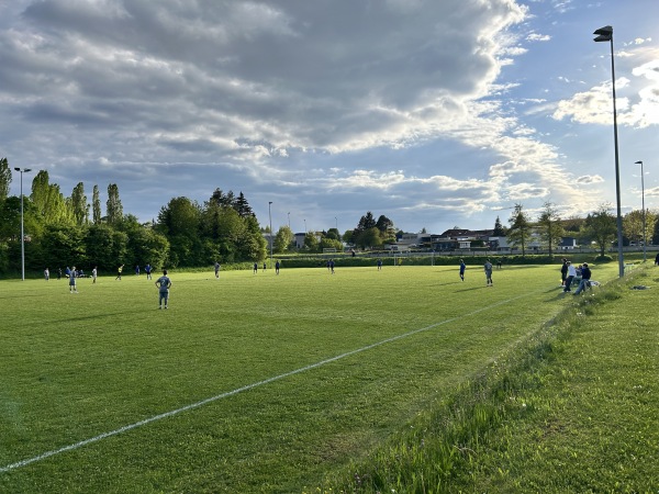 Phönix-Sportgelände Platz 2 - Pfalzgrafenweiler