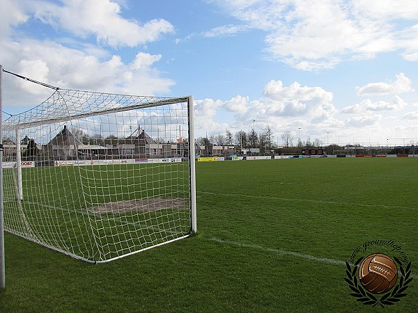 Sportpark Roodemolen veld 1 - Teylingen-Sassenheim