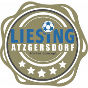 Wappen ASK Liesing diverse