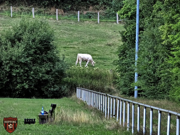 Sportplatz Bredelar - Marsberg-Bredelar