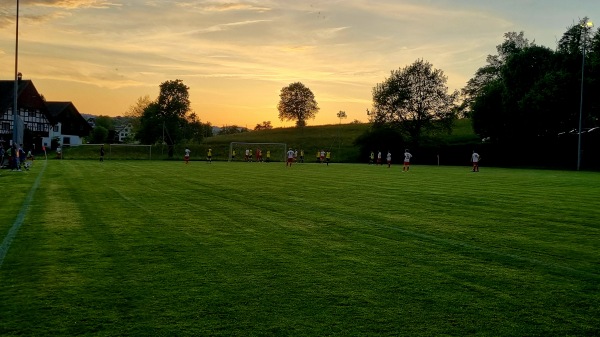 Sportplatz Schönegg - Wädenswil