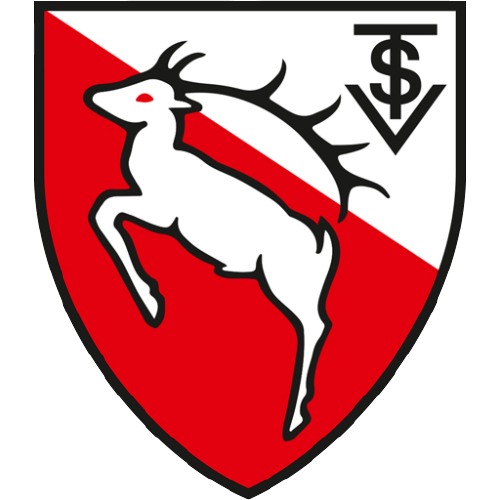Wappen TSV Kirchrode 1922 diverse