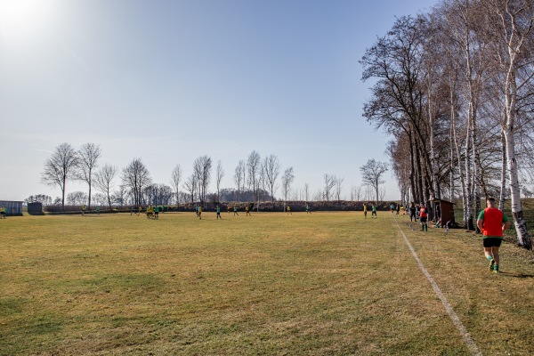 Otto-Gondeck-Stadion - Reichenbach/Oberlausitz-Meuselwitz