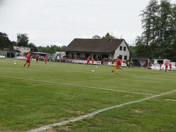 Sportanlage am Main - Lichtenfels/Oberfranken-Oberwallenstadt
