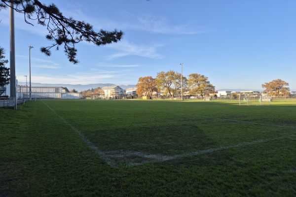 Terrain de Chaucey - Coppet