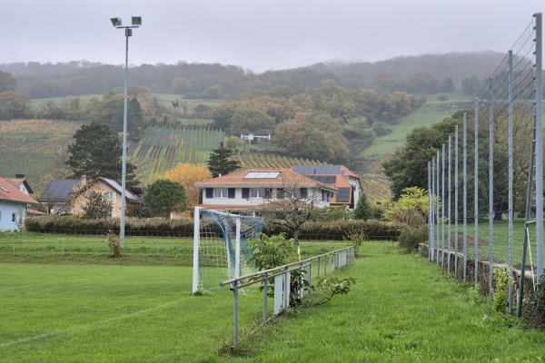 Terrain de la Cour - Bonvillars