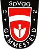 Wappen SpVgg. Gammesfeld 1974 diverse  70367