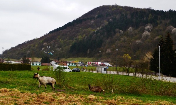 Stadion NK Gomila Abdić Zahid - Zagi - Stijena