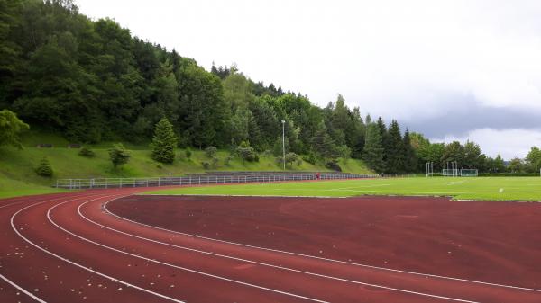 Sportanlage Waldegg Platz A - Horgen