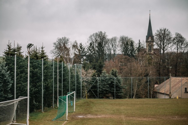 Alter Sportplatz Wildenau - Steinberg/Vogtland-Wildenau