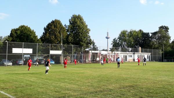 Sportanlage Niedwiesenstraße - Frankfurt/Main-Eschersheim