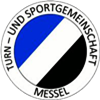 Wappen TSG 1877 Messel