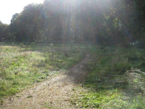 Sportplatz am Stadtpark - Leverkusen