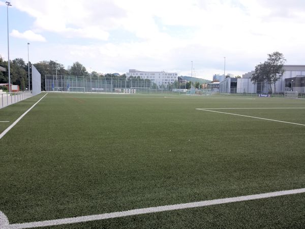 Bezirkssportanlage Neckarpark Platz 2 - Stuttgart-Bad Cannstatt