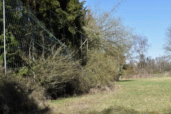 Sportanlage an den Höhlen Platz 2 - Breitscheid/Hessen-Erdbach
