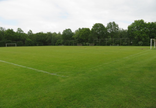 Sportpark De Vegtlust veld 3 - Zwolle