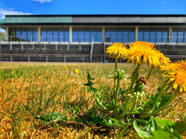 Stadion im Schul- und Sportzentrum - Bad Brückenau-Römershag