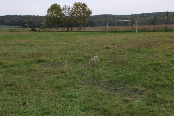 Sportplatz Stockheimer Weg - Kreuzau