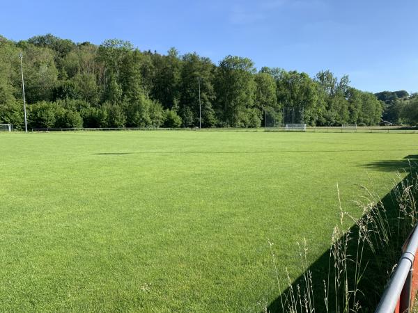 Sportplatz Eberdinger Straße - Vaihingen/Enz-Riet