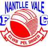 Wappen Nantlle Vale FC