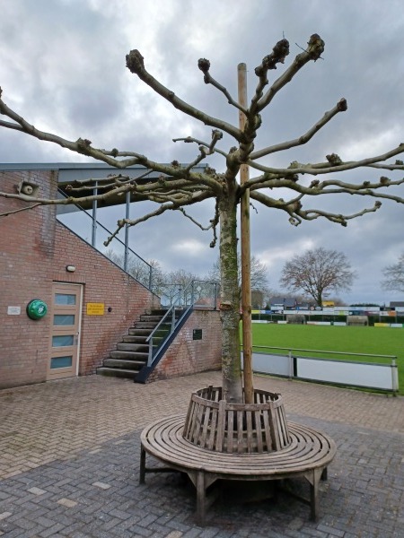Sportpark De Donk - Boekel