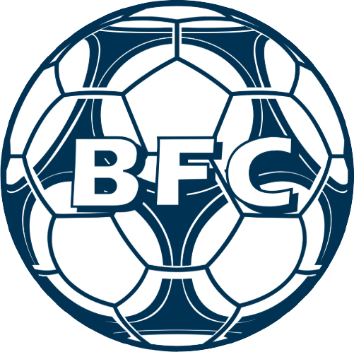 Wappen Buchholzer FC 1998 II  35591
