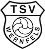 Wappen TSV Wernfels 1913 diverse  58228