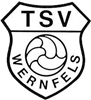 Wappen TSV Wernfels 1913 diverse