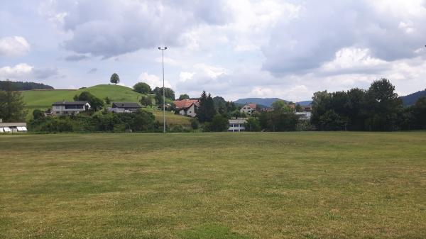 Sportplatz Schlafapfelbaum - Eglisau