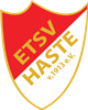 Wappen Eisenbahn-TSV Haste 1913 diverse  90049