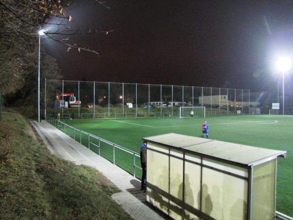 HWG-Stadion am Zoo Nebenplatz 2 - Halle/Saale