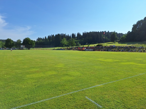 Sportplatz Fischbach - Ummendorf-Fischbach