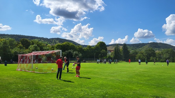 Sportanlage Schleusenweg - Erlabrunn