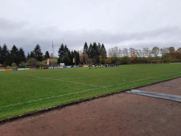 Sportplatz hinter der Turnhalle - Pausa-Mühltroff