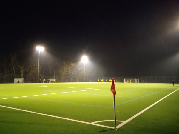 Sportplatz auf der Insel 2 - Frankfurt/Main-Nieder-Erlenbach