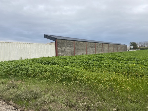 Molenveld - Ninove-Appelterre-Eichem