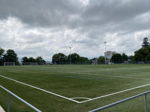 Stade du Guintzet terrain synthétique - Fribourg