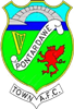 Wappen Pontardawe Town FC