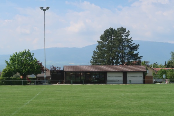Terrain En Courtes-Raies - Chavornay