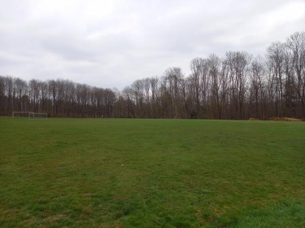 Sportplatz im Wald - Gemünden/Westerwald
