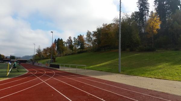 Tannenwald-Stadion - Bad Laasphe-Feudingen