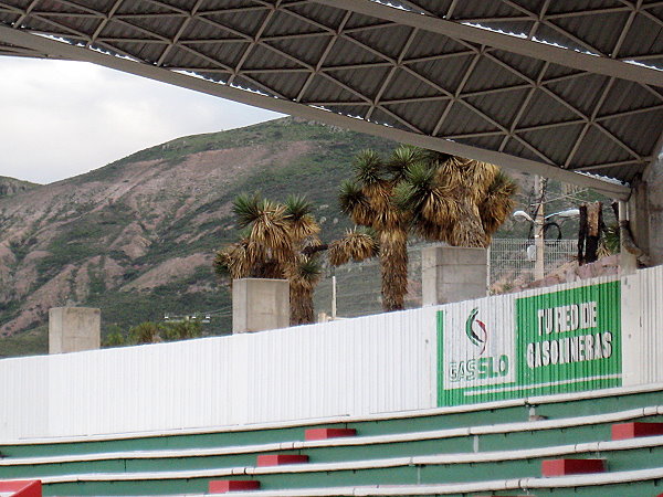 Estadio Carlos Vega Villalba - Zacatecas