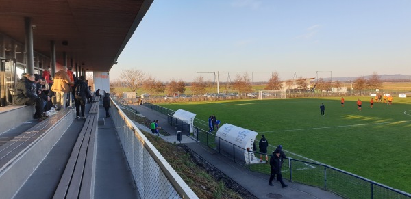 Blotz'Arena - Blotzheim