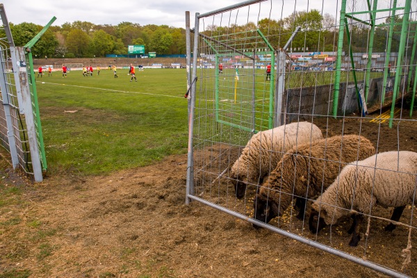 Rudolf-Kalweit-Stadion - Hannover-Bult