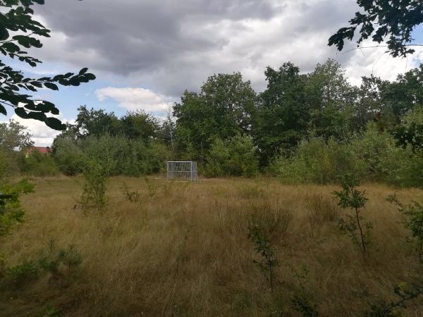ASV-Sportplatz - Hettenleidelheim