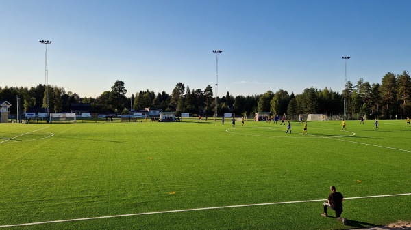 Olympia, Heden-Konstgräs - Boden