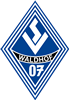 Wappen SV Waldhof 07 Mannheim diverse