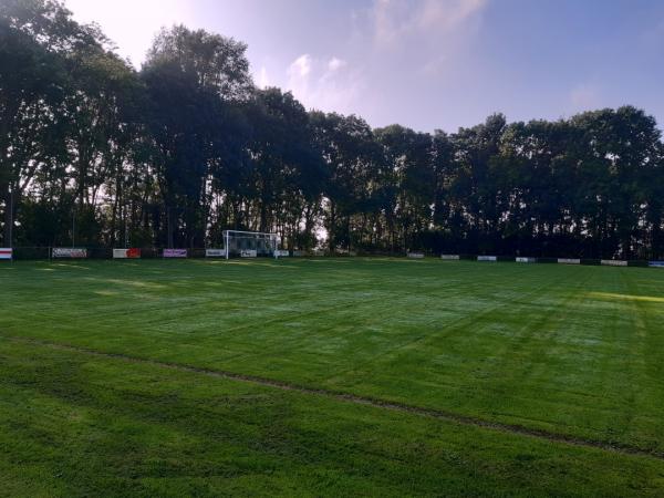 Sportpark Abel van der Laan - Oldambt-Beerta