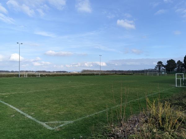 Stade des Lachens terrain annexe - Artolsheim