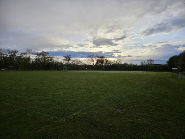 Münsterland Stadion C-Platz - Steinfeld (Oldenburg)-Mühlen